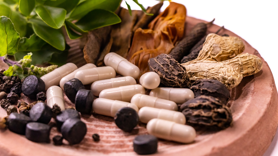 The Power of the Plant: Benefits of Vegetarian/Vegan Capsule Shells in Ayurveda | Rhushi Ayurveda