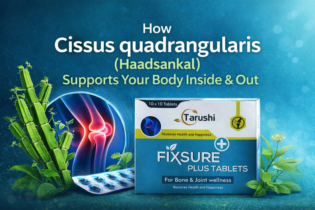 How Cissus quadrangularis (Haadsankal) Supports Your Body Inside & Out