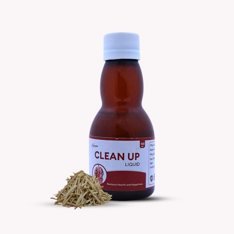 Cleanup Liquid (Digestive Syrup)