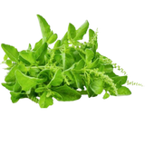 Tulsi