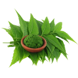 Neem